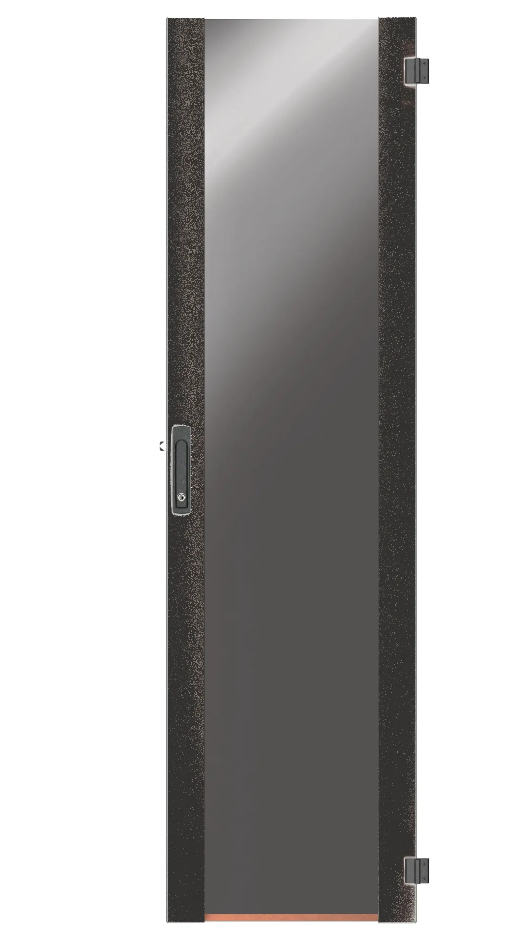 Tür für PRO 42HE, B=600, Glas, 1-teilig, SH, RAL7035 – Bild 2