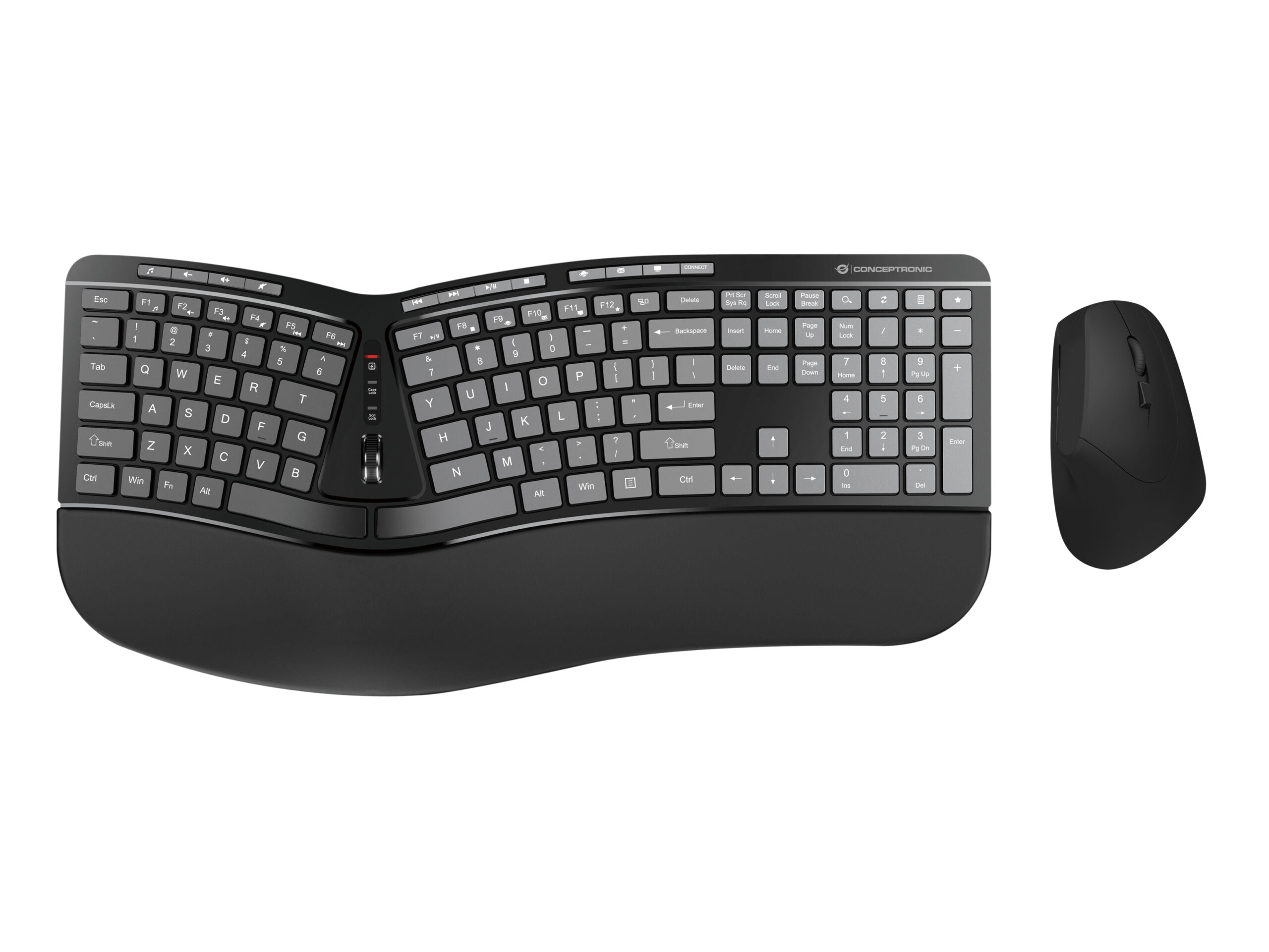 Conceptronic ORAZIO02US ERGO drahtlos ergonomisch Tastatur & Maus Kit, QWERTY EN (US)